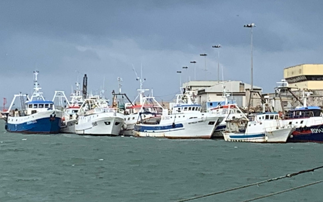 Le novità del piano pluriennale per la pesca a strascico nel Mediterraneo occidentale – Reg. (UE) n. 2019/1022